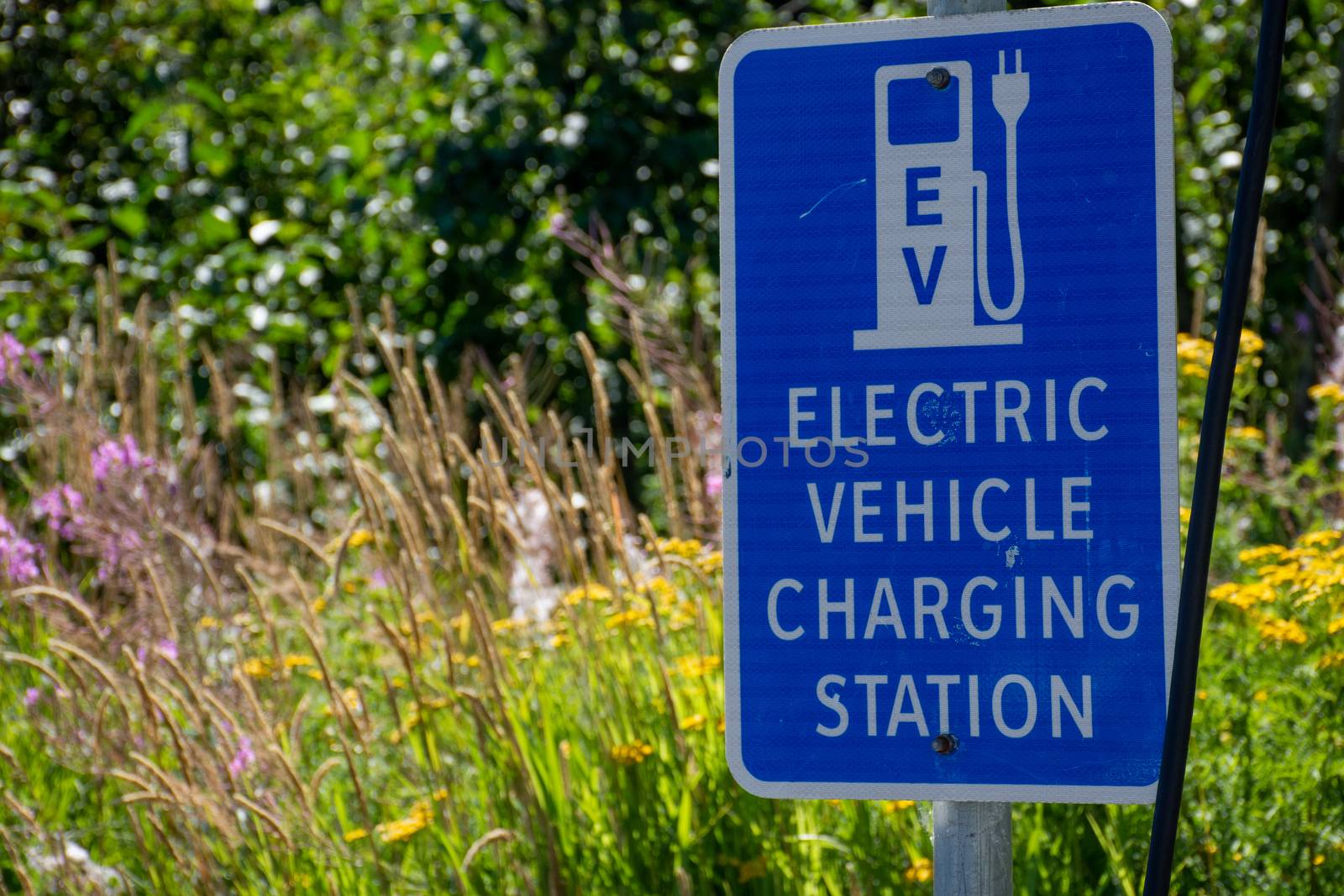Electric vehicle only charging station sign for environmentally  by kingmaphotos