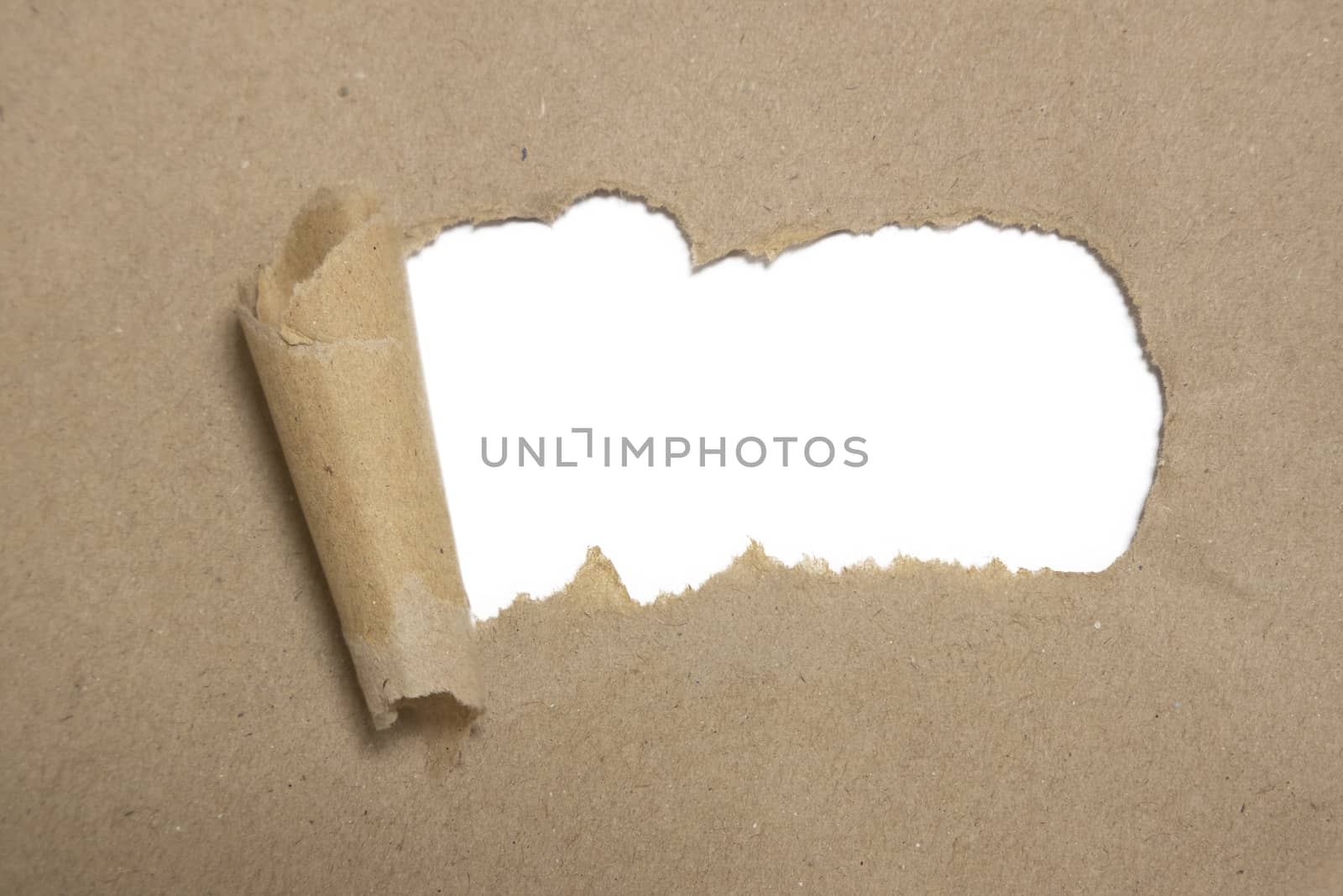 torn brown package rolled up curvl paper with blank white copyspace