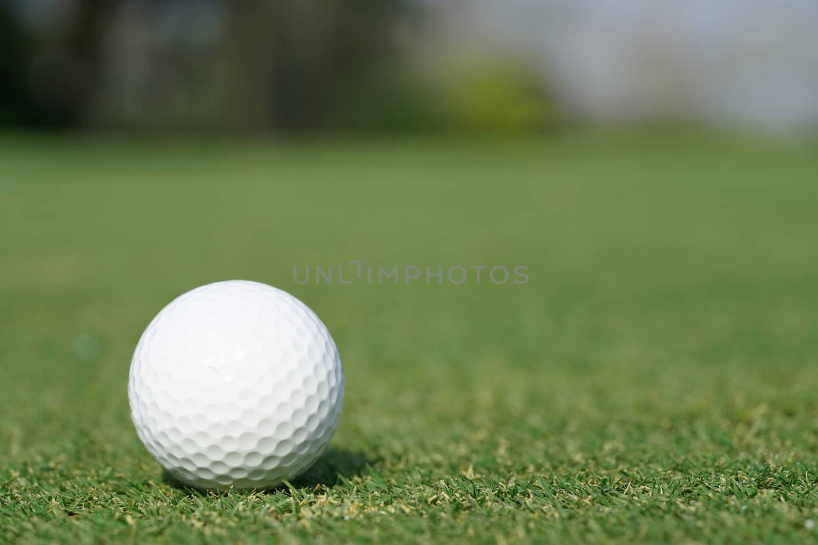 Close-up on a golf ball on a green grass by Charnsitr