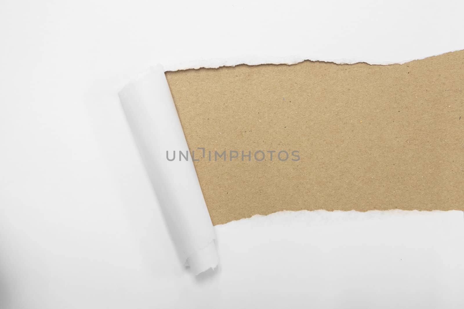 torn package rolled up curvl paper with blank white copyspace by Charnsitr