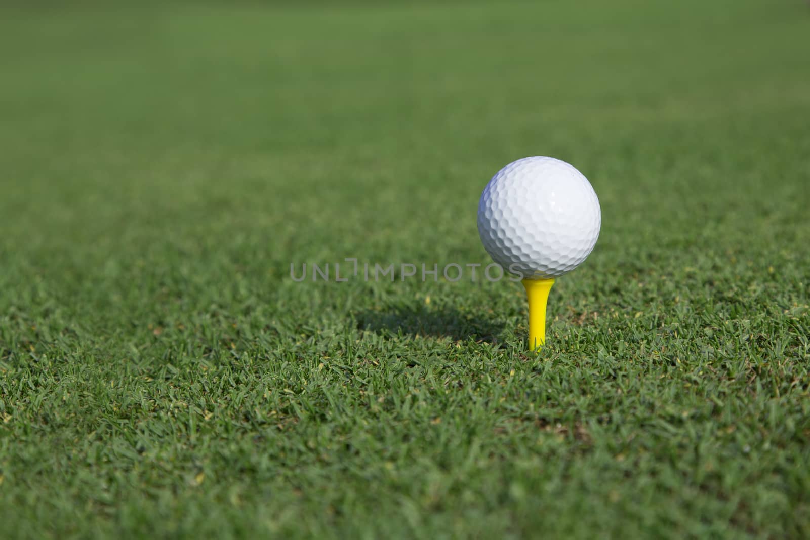 golf ball on a tee on a green grass by Charnsitr
