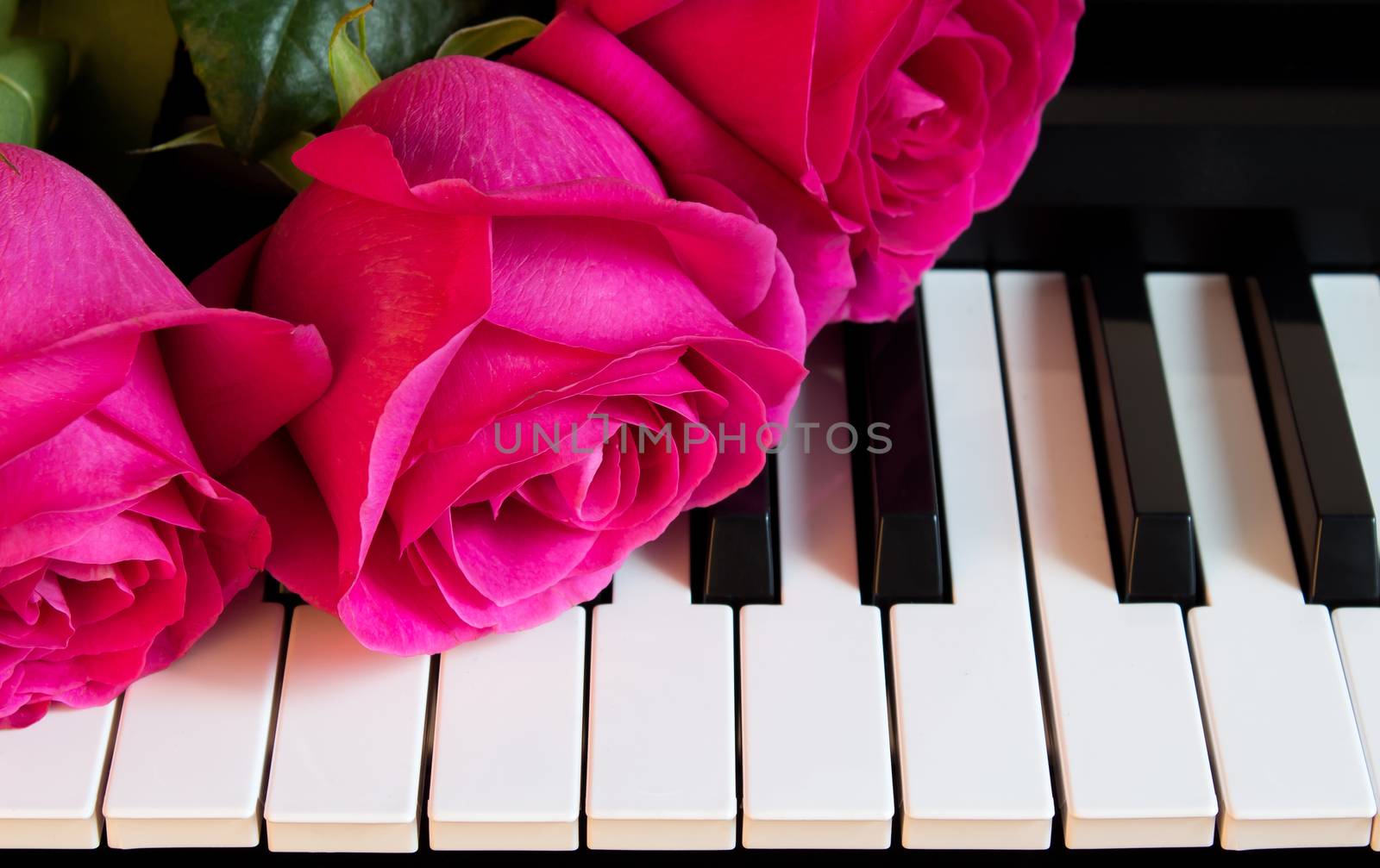 Bouquet of pink roses on the piano. Flowers on a musical instrument. Greeting card. International women's day, mother's day, romance, love, flowers