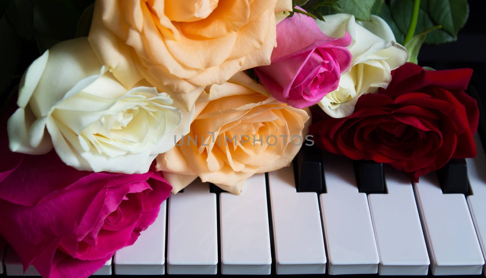 Bouquet of colorful roses on the piano. Flowers on a musical instrument. Greeting card. International women's day, mother's day, romance, love, flowers