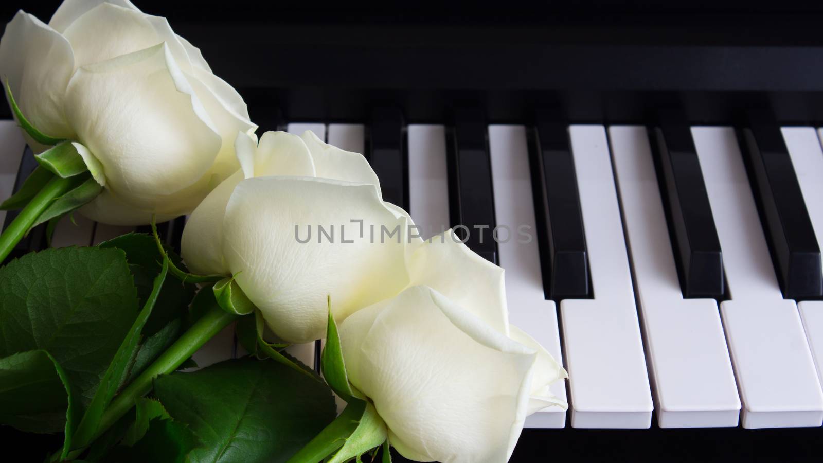 Bouquet of white roses on the piano. Flowers on a musical instrument. Birthday, March 8, international women's day, February 14, Valentine's day, mother's day, flower day. Card, gift, romance, love