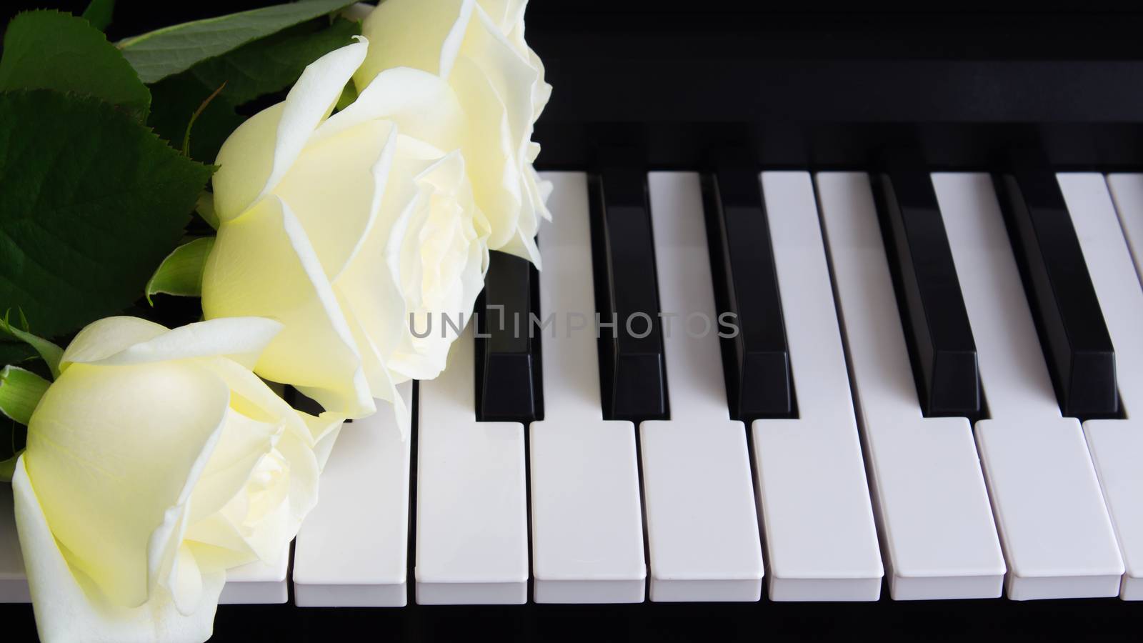 Bouquet of white roses on the piano. Flowers on a musical instrument. Birthday, March 8, international women's day, February 14, Valentine's day, mother's day, flower day. Card, gift, romance, love