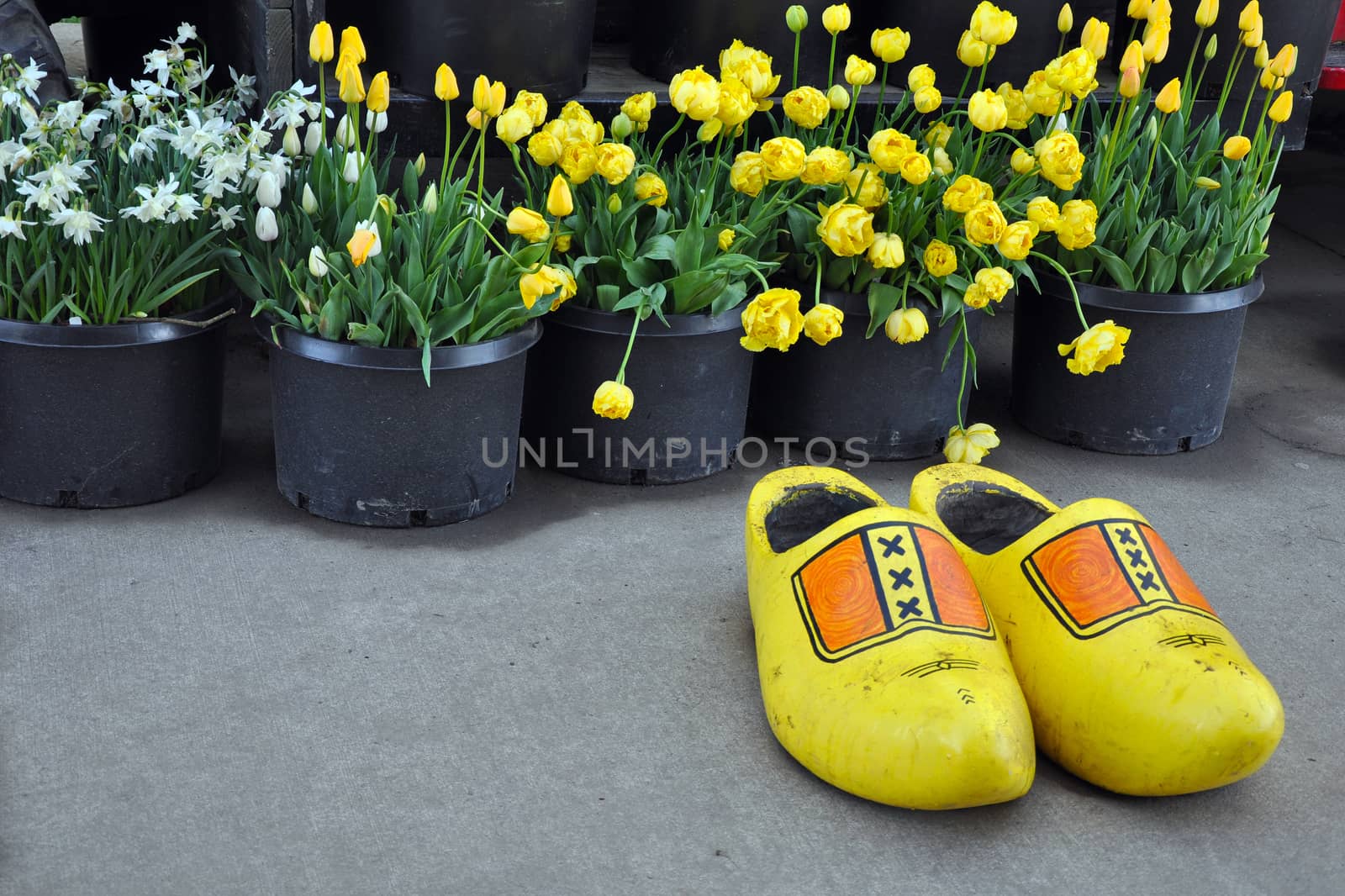 Yellow wooden shoes and tulips