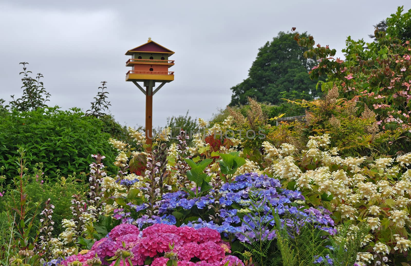 Birdhouse overlooking colorful spring garden