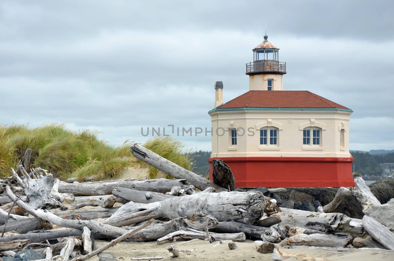 Lighthouse and driftwood on the pacific coast