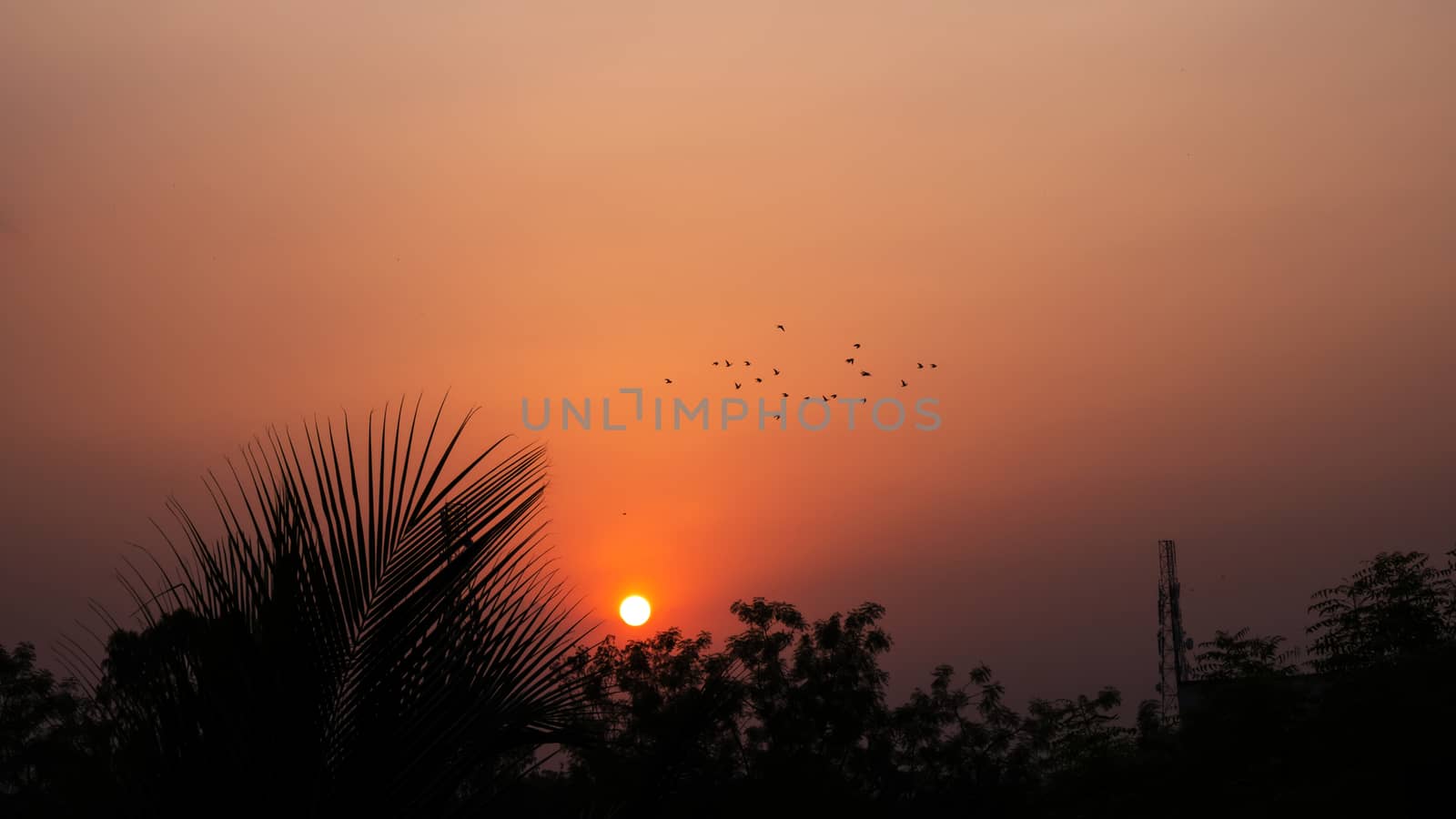 sunrise in city & nature silhouette by mahesh_2020