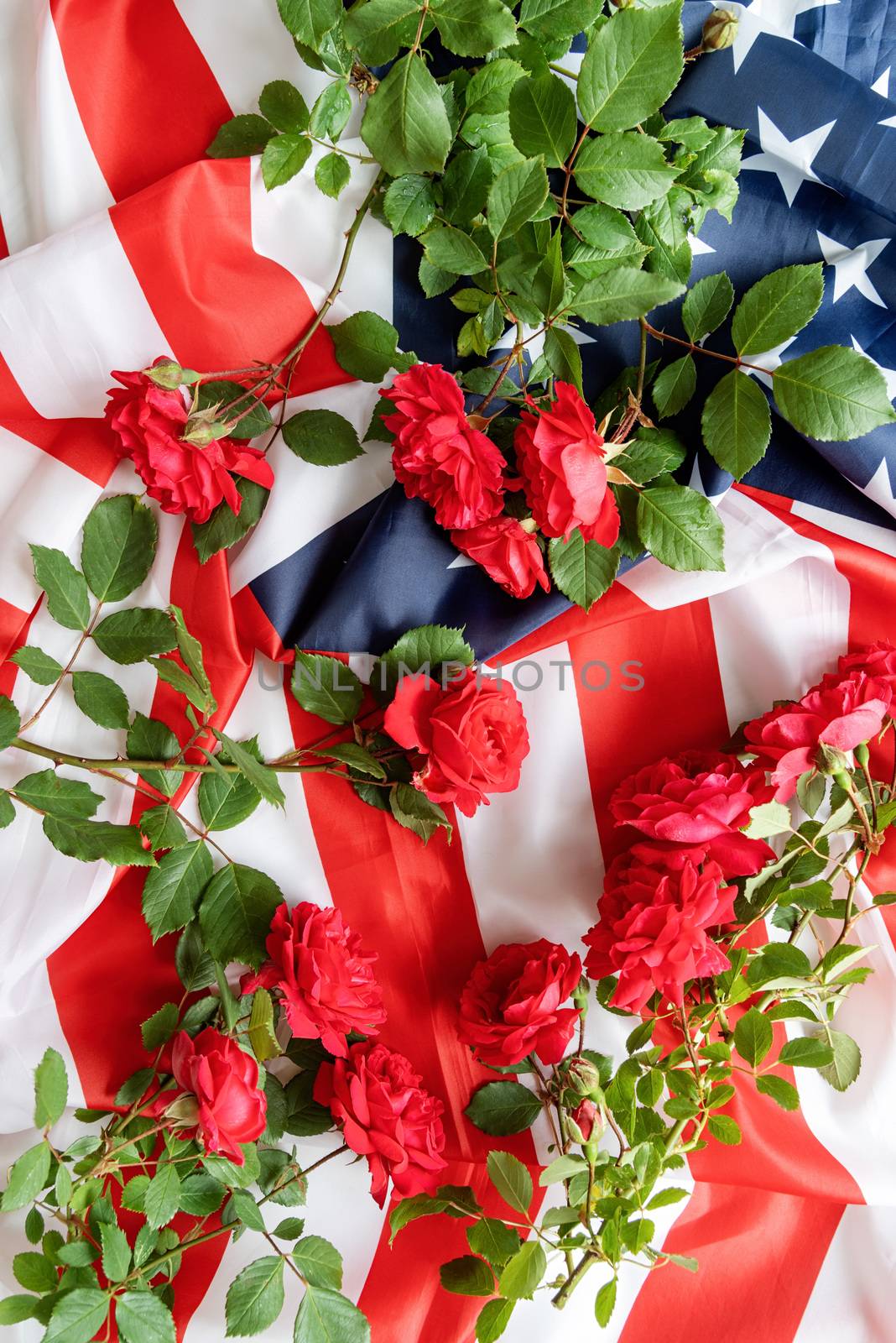 Red roses over the USA flag top view flat lay by Desperada
