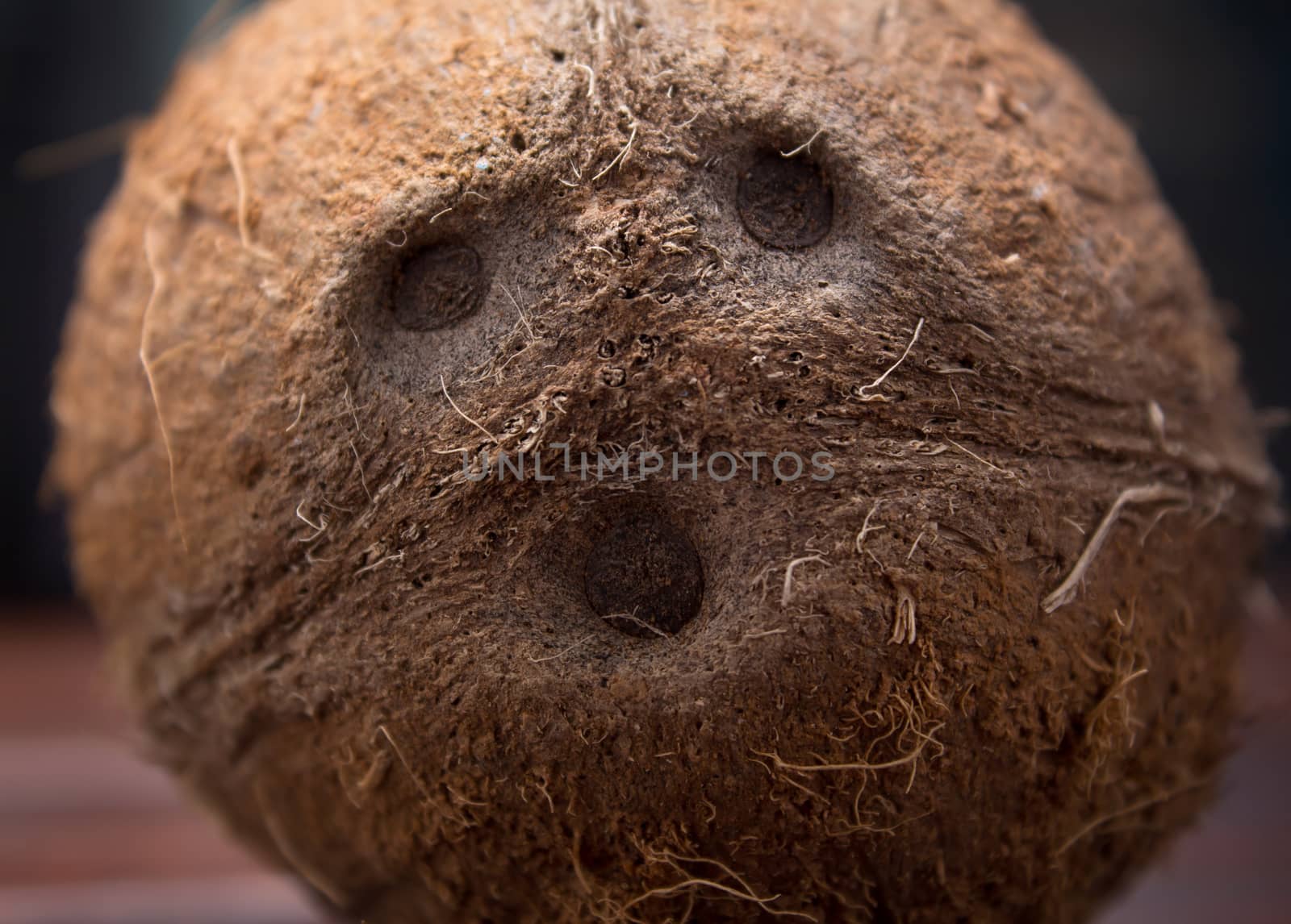 The eyes of the coconut. A screaming face with eyes and nose, a smile. Coconut close-up. Tropical fruit, nut. Exotic, vegetarian, vegan, dietary, proper nutrition, healthy lifestyle.