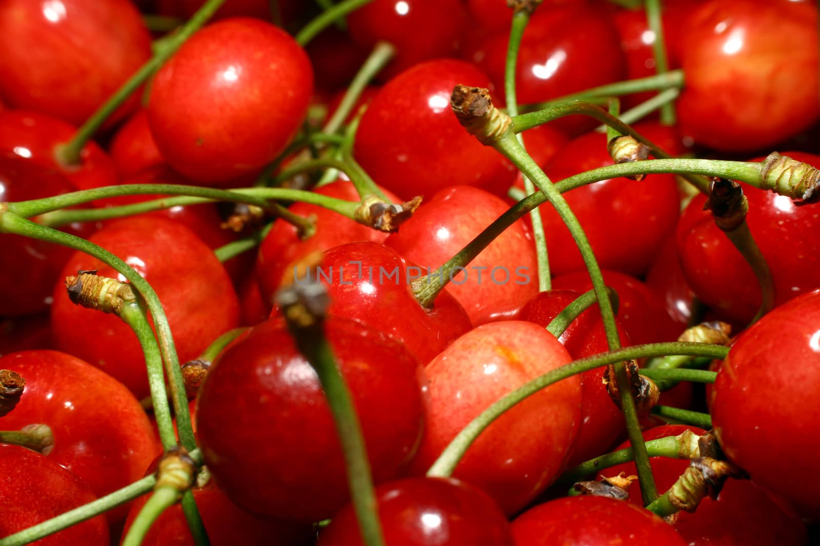 red cherries fruit food in market, close up