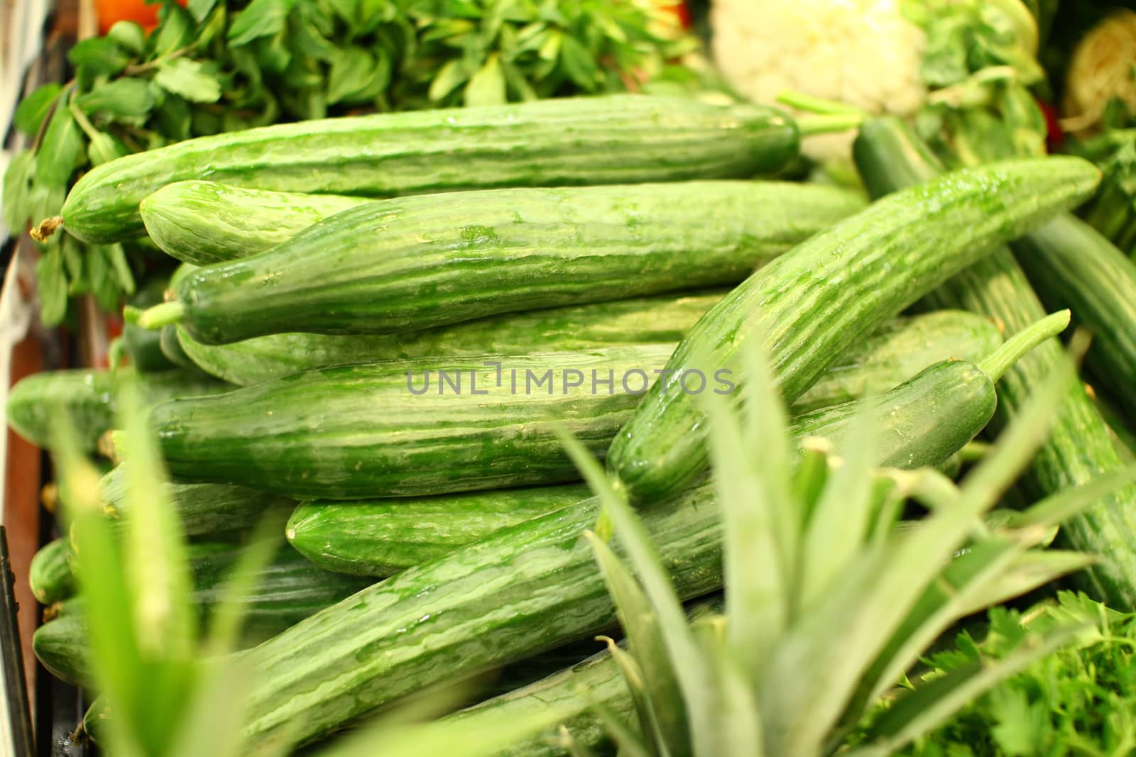 fresh cucumbers in green market, close up