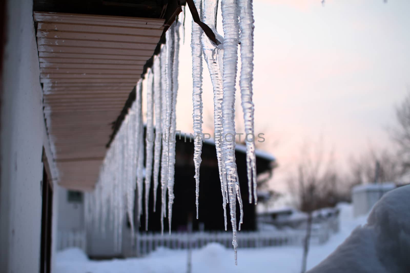 winter frost ice by alex_nako