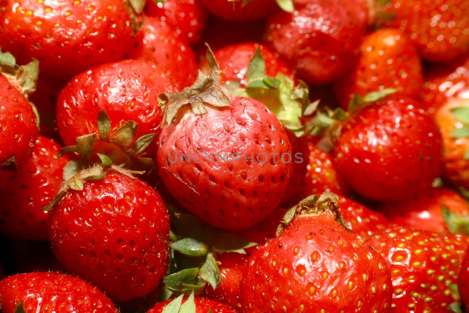red organic strawberries fruit, macro close up
