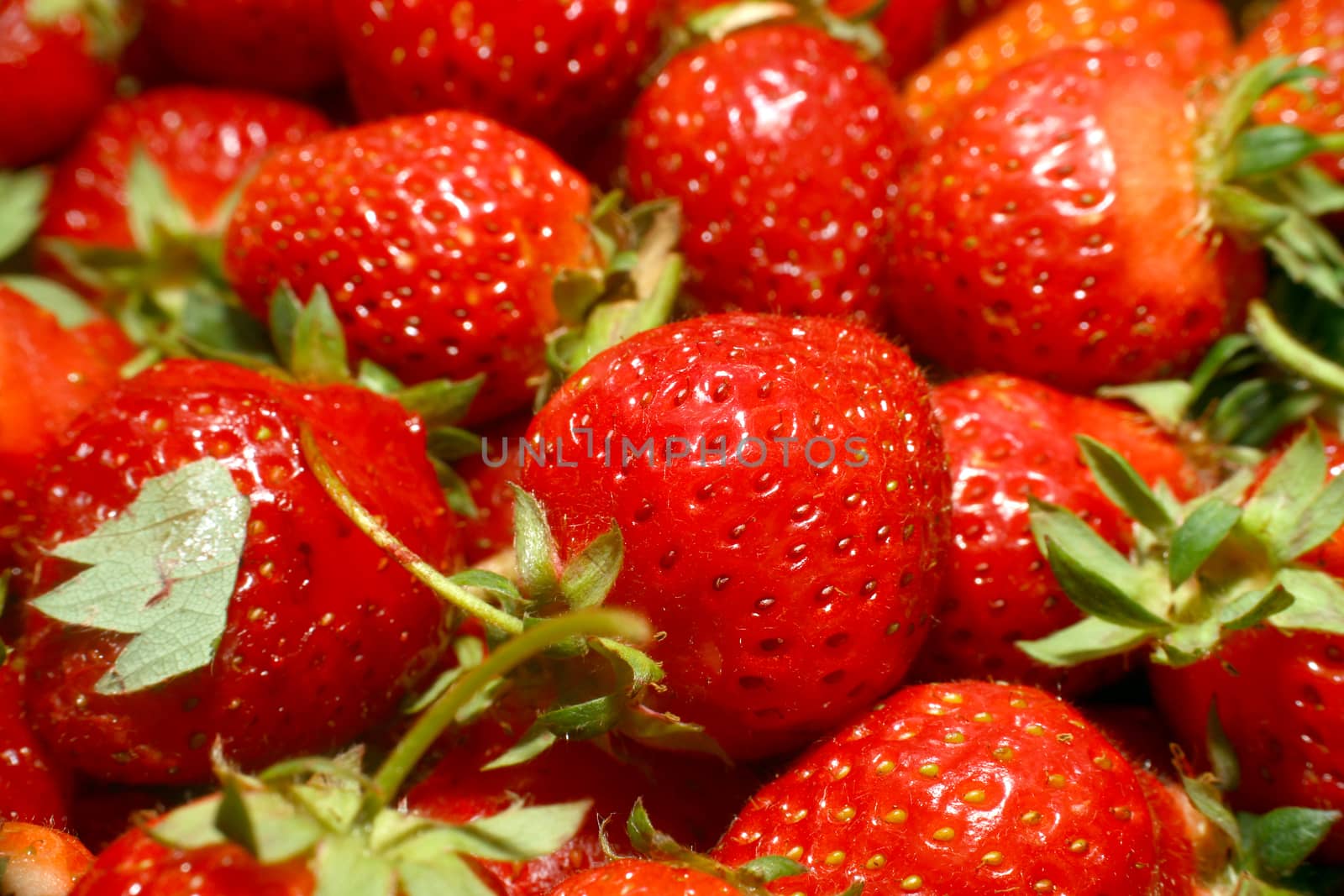 red organic strawberries fruit, macro close up