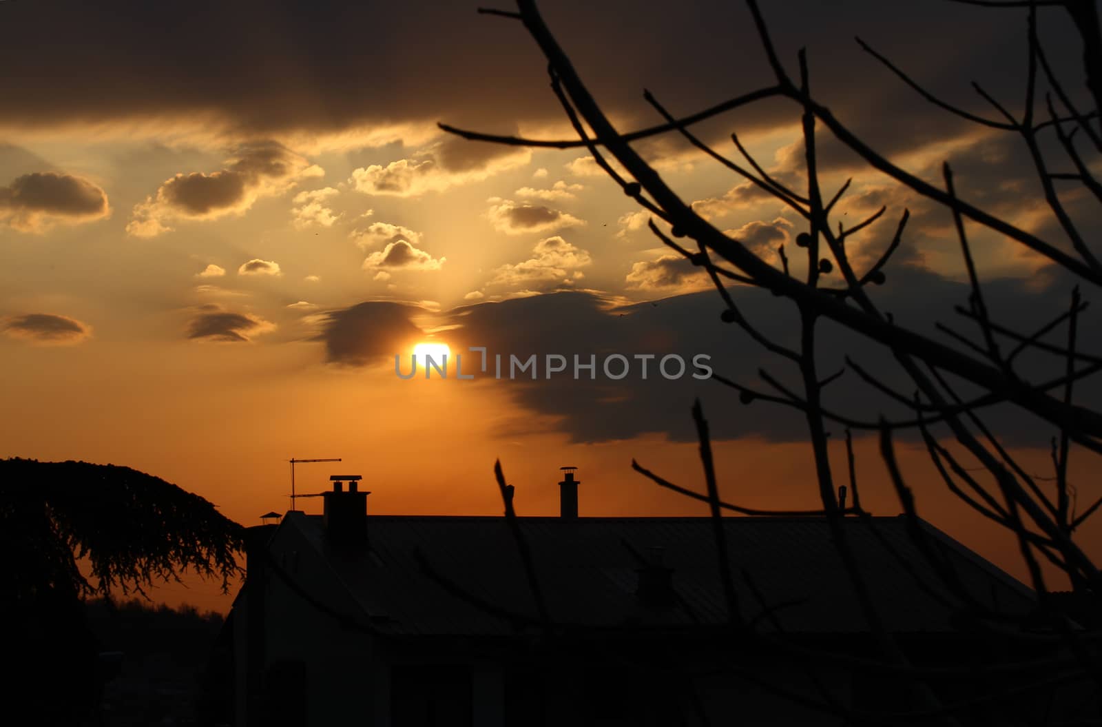 sunset sunrise tree, red orange pink sky landscape