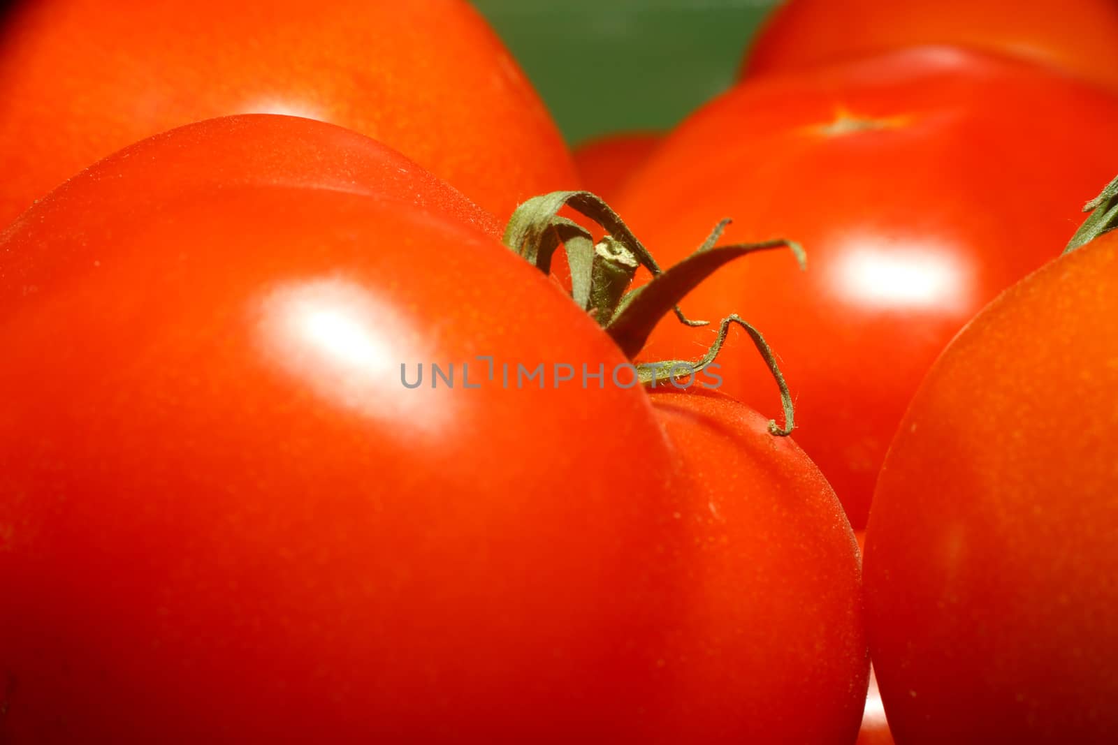 red fresh organic tomato, macro close up