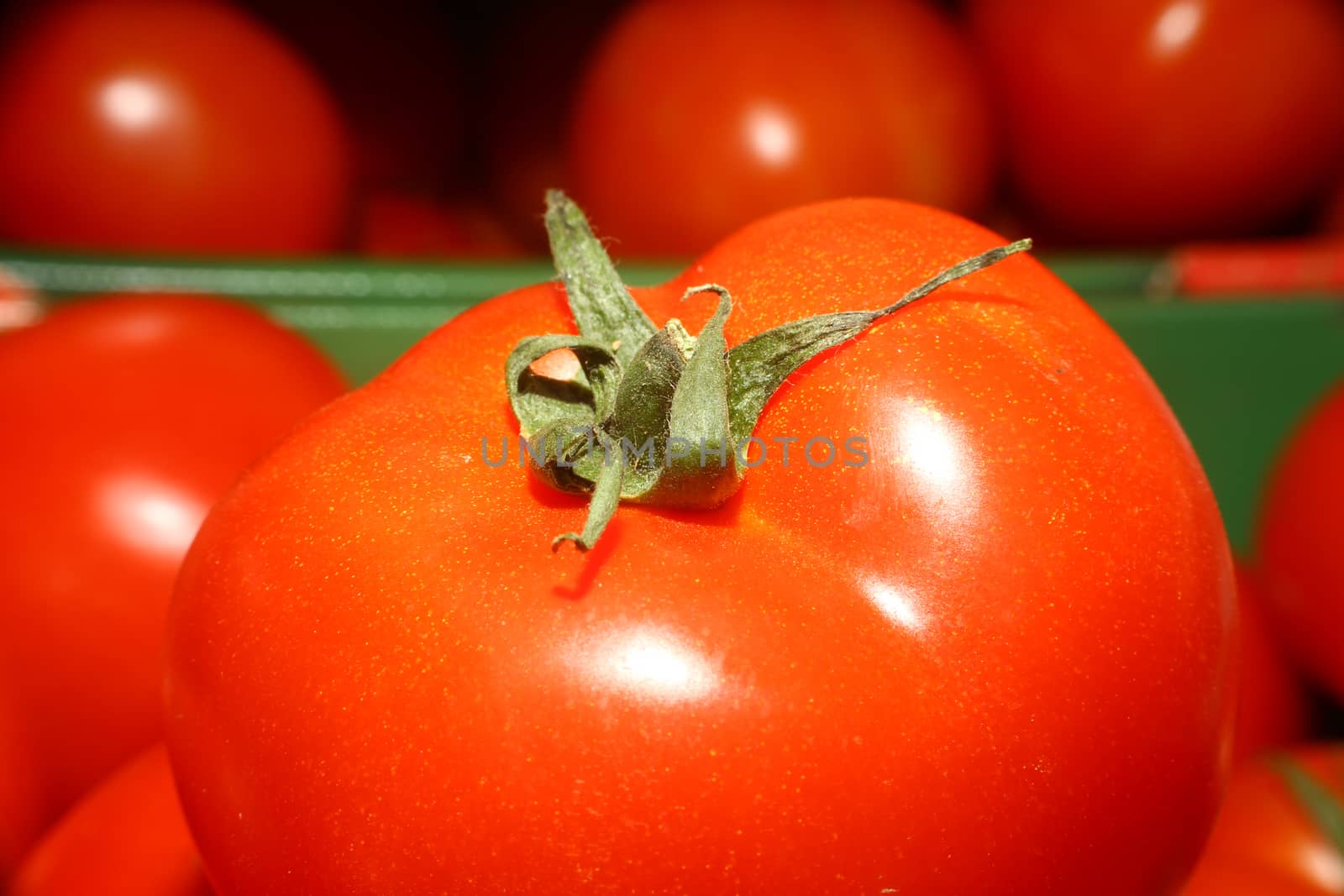 red fresh organic tomato, macro close up