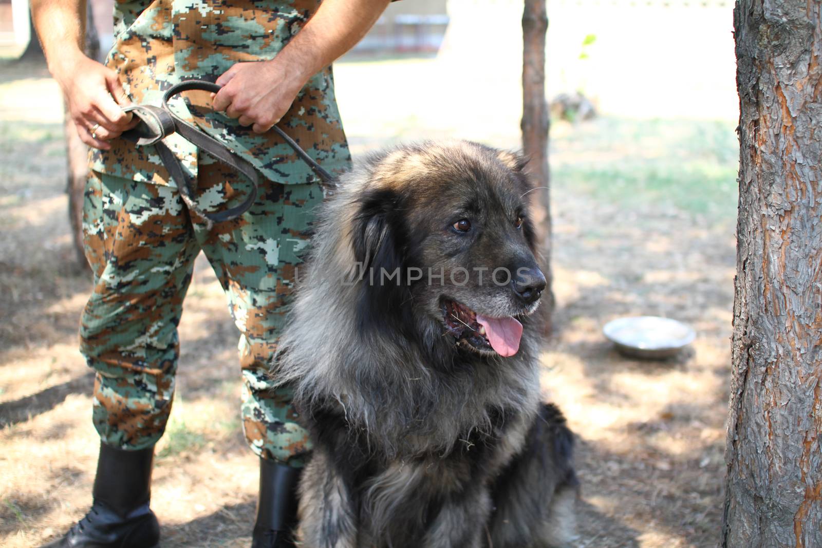 Man in military uniform with military dog by alex_nako