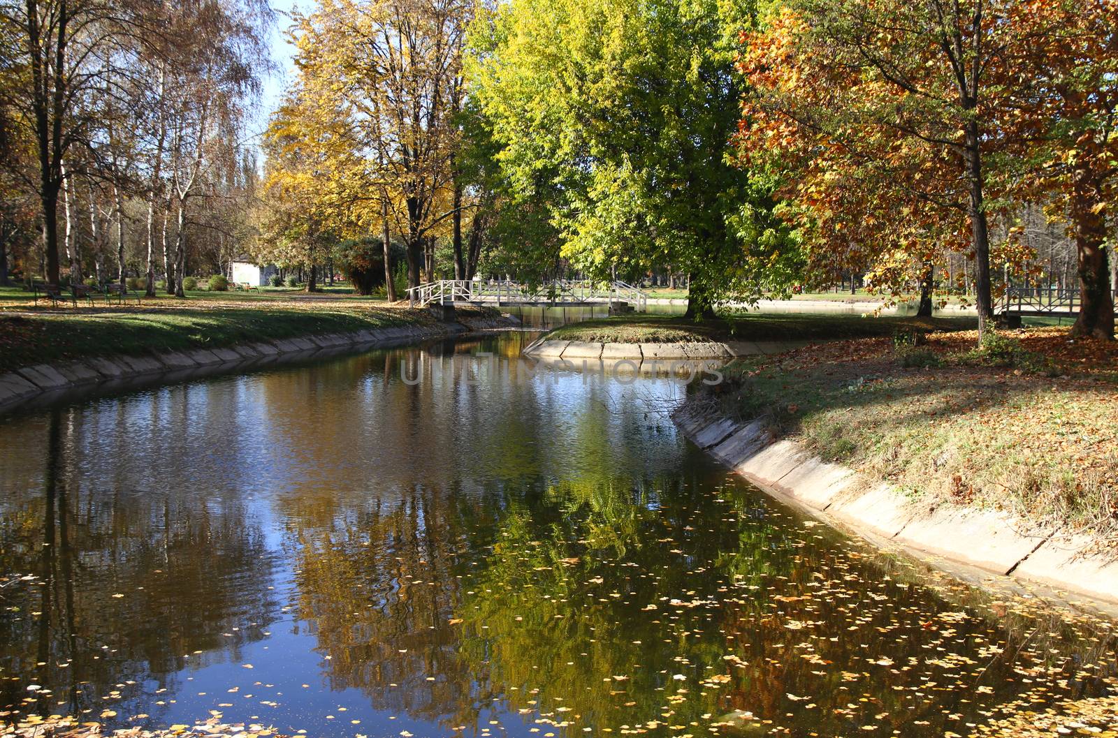 natural park in autumn, pond and bridge