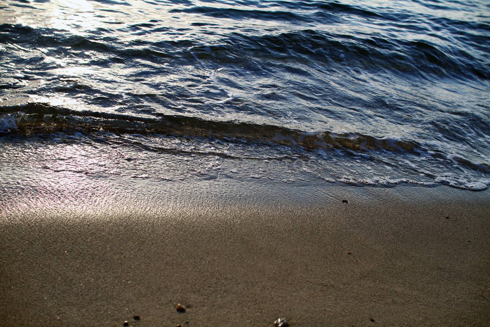 Tropical beach background. Horizon landscape and sand