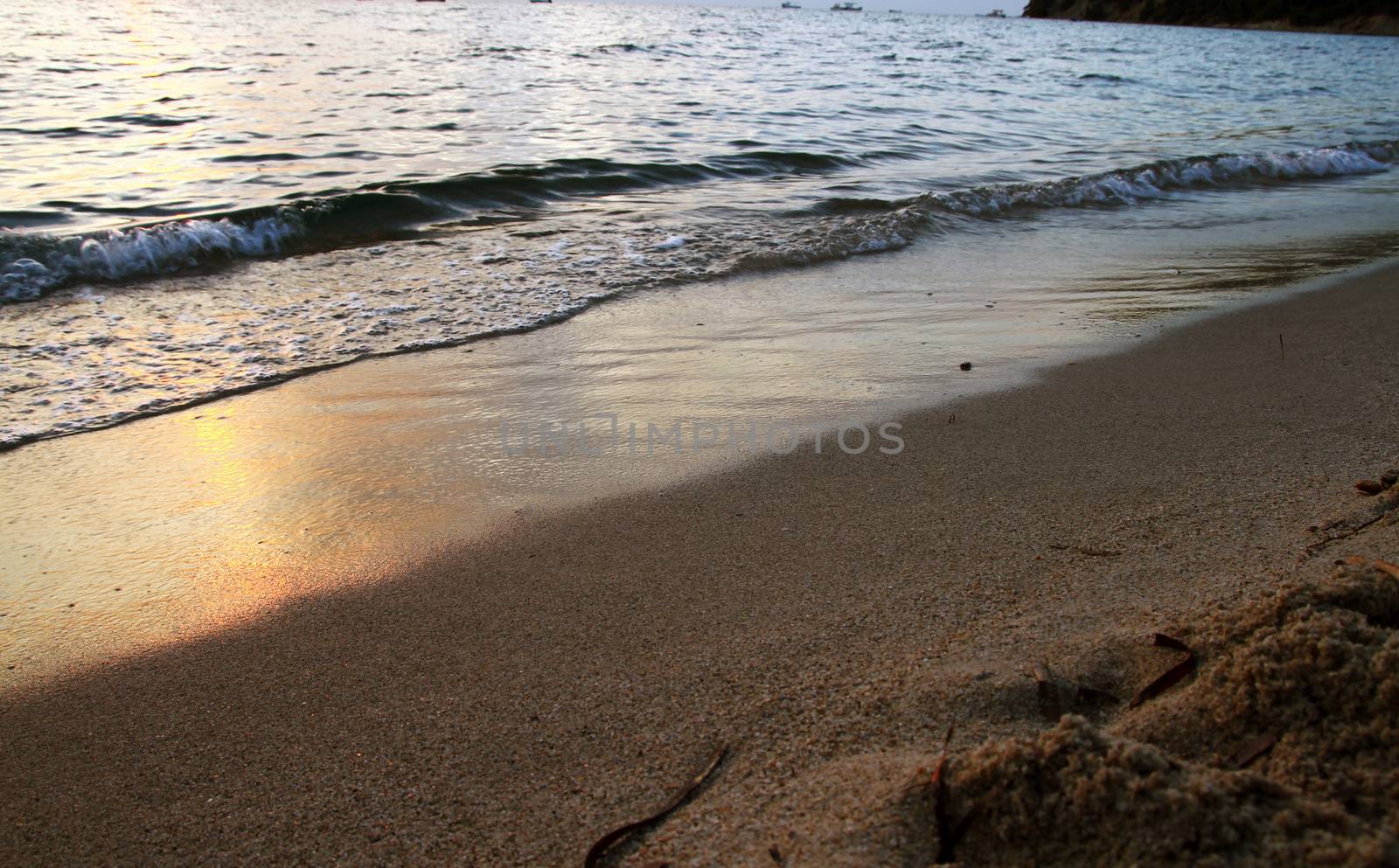 Tropical beach background. Horizon landscape and sand