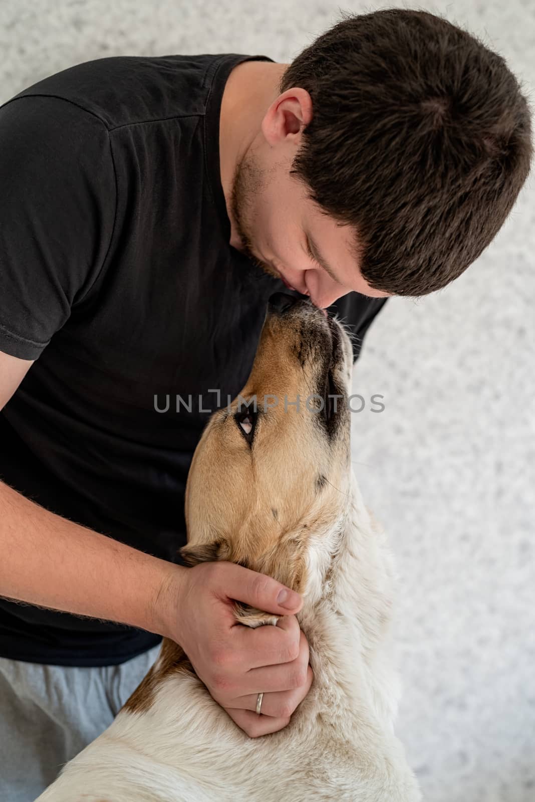 Man kissing his shepherd dog by Desperada