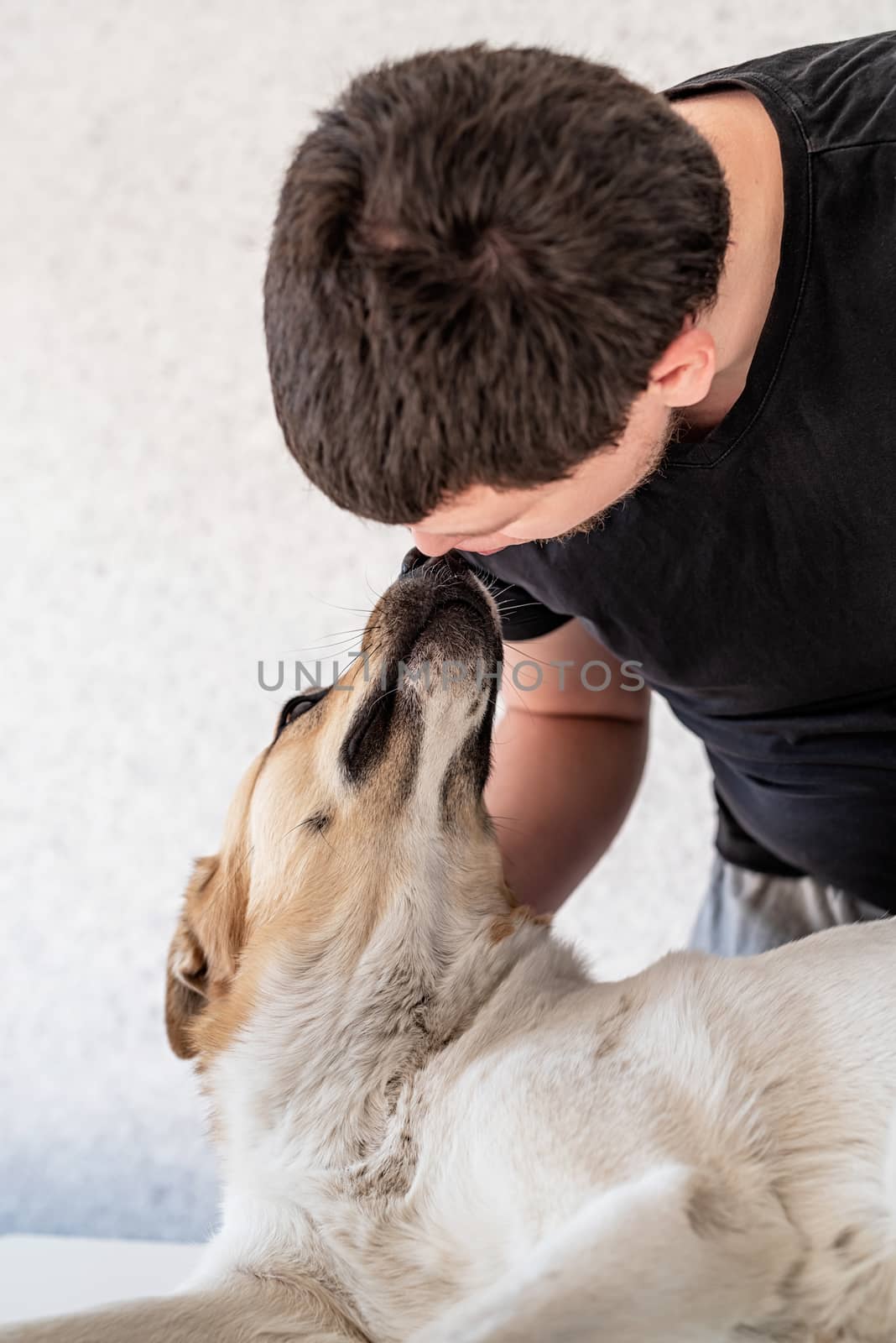 Stay home. Pet care. Man kissing his shepherd dog