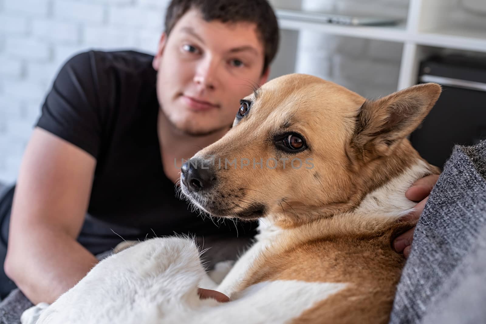 Stay home. Pet care. Young man sitting at home with his shepherd dog