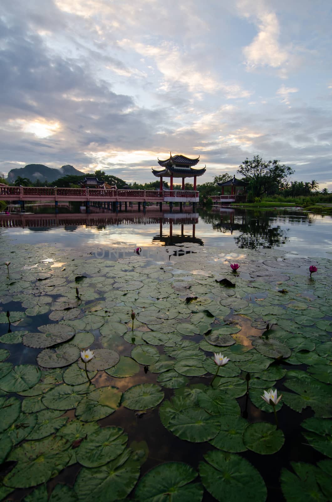 Melati Lake, Perlis, Malaysia Chinese Architechtural Bridge in morning.