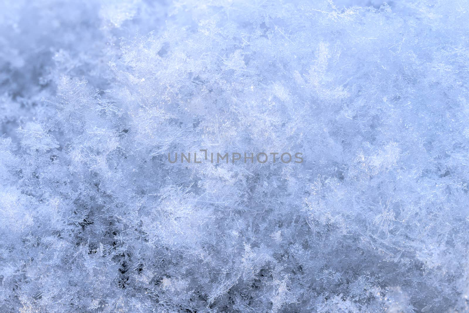 snow array with high magnification winter background.