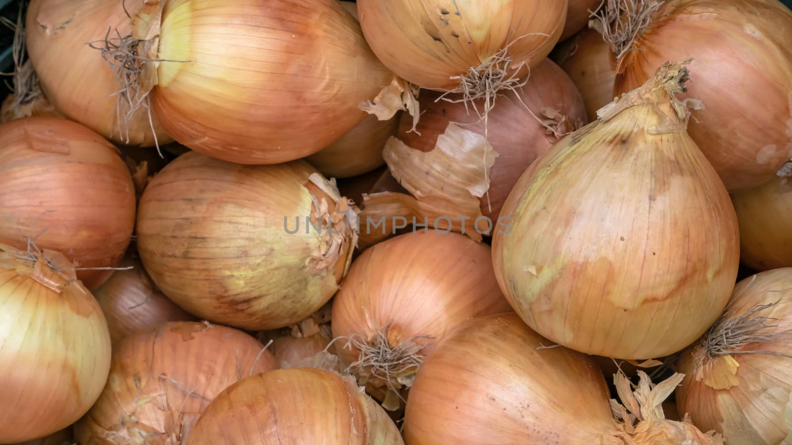 The close up of fresh onions vegetable at food market in Taipei, Taiwan.
