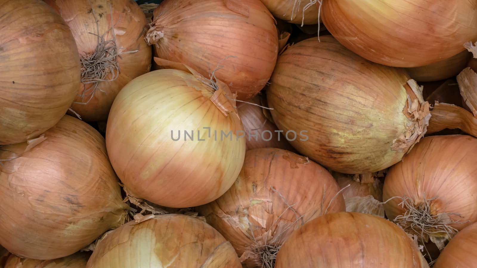 The close up of fresh onions vegetable at food market in Taipei, Taiwan.