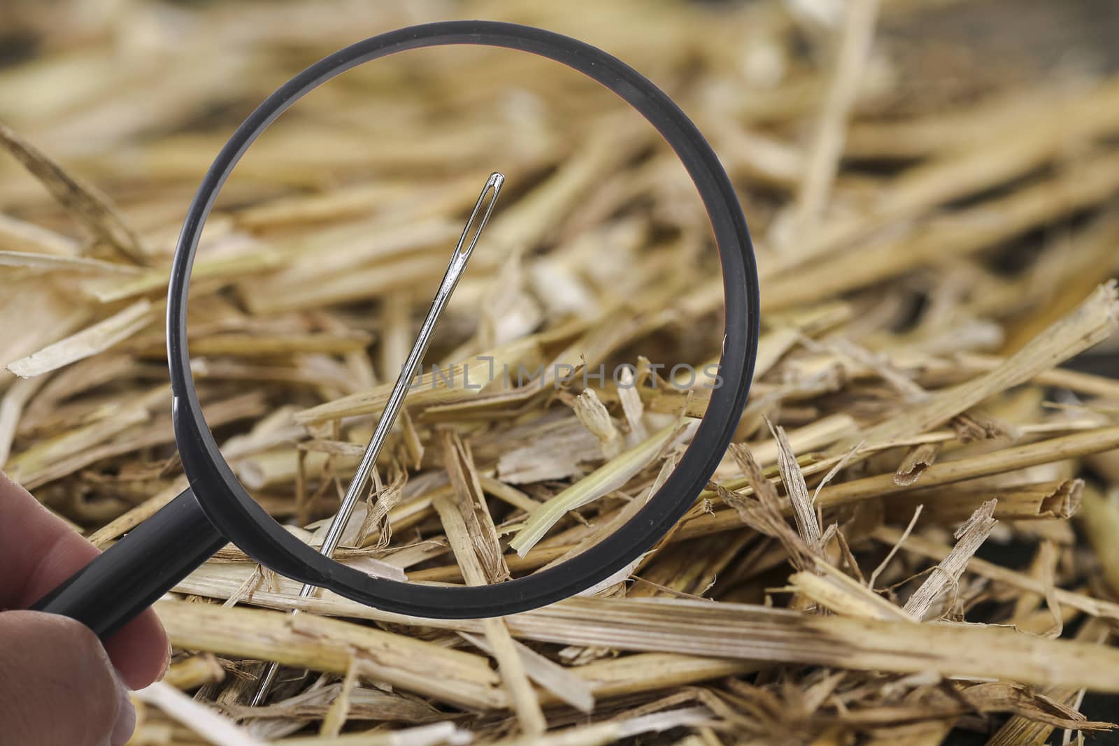 Needle is lost in haystack and searching with loupe