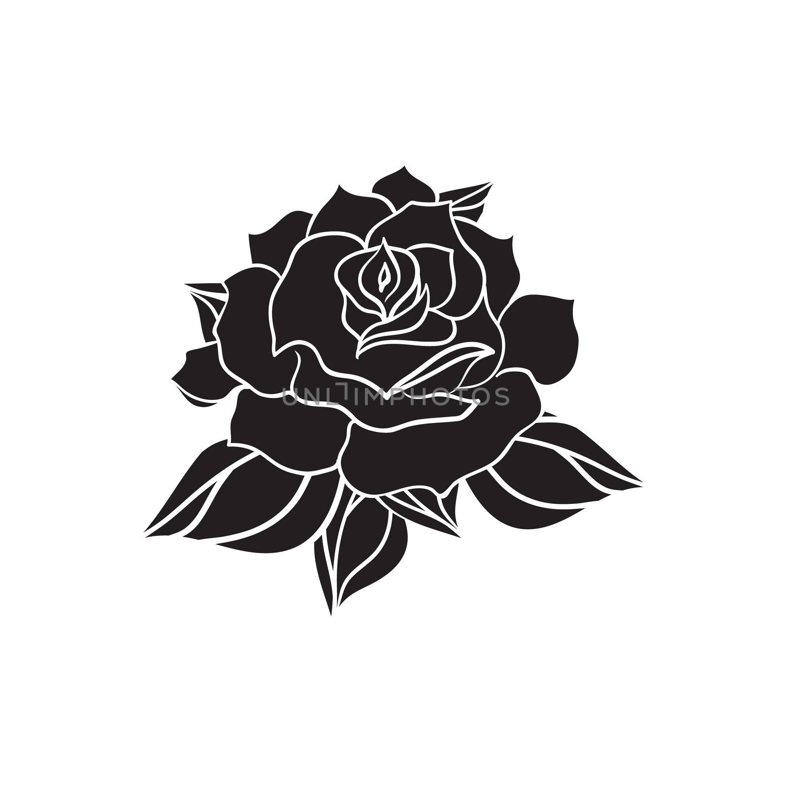Hand Drawn Wedding Rose. Flower Template for wedding, holiday, celebration. Rose for print, tattoo and digital art. Vector