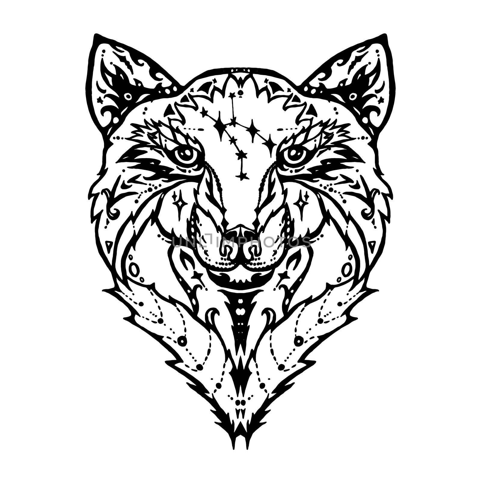 Illustration of isolated detailed wild wolf head in vintage and aztec style for textiles, print and tattoo. Line-art. Vector