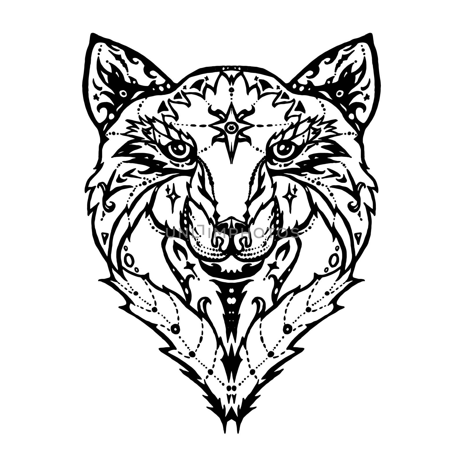 Illustration of isolated detailed wild wolf head in vintage and aztec style for textiles, print and tattoo. Line-art. Vector