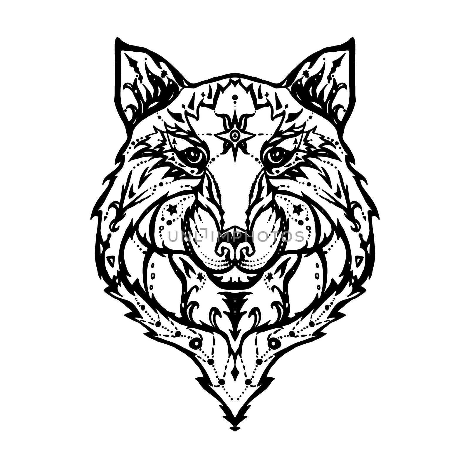 Illustration of isolated detailed wild wolf head in vintage and aztec style for textiles, print and tattoo. Line-art. Vector