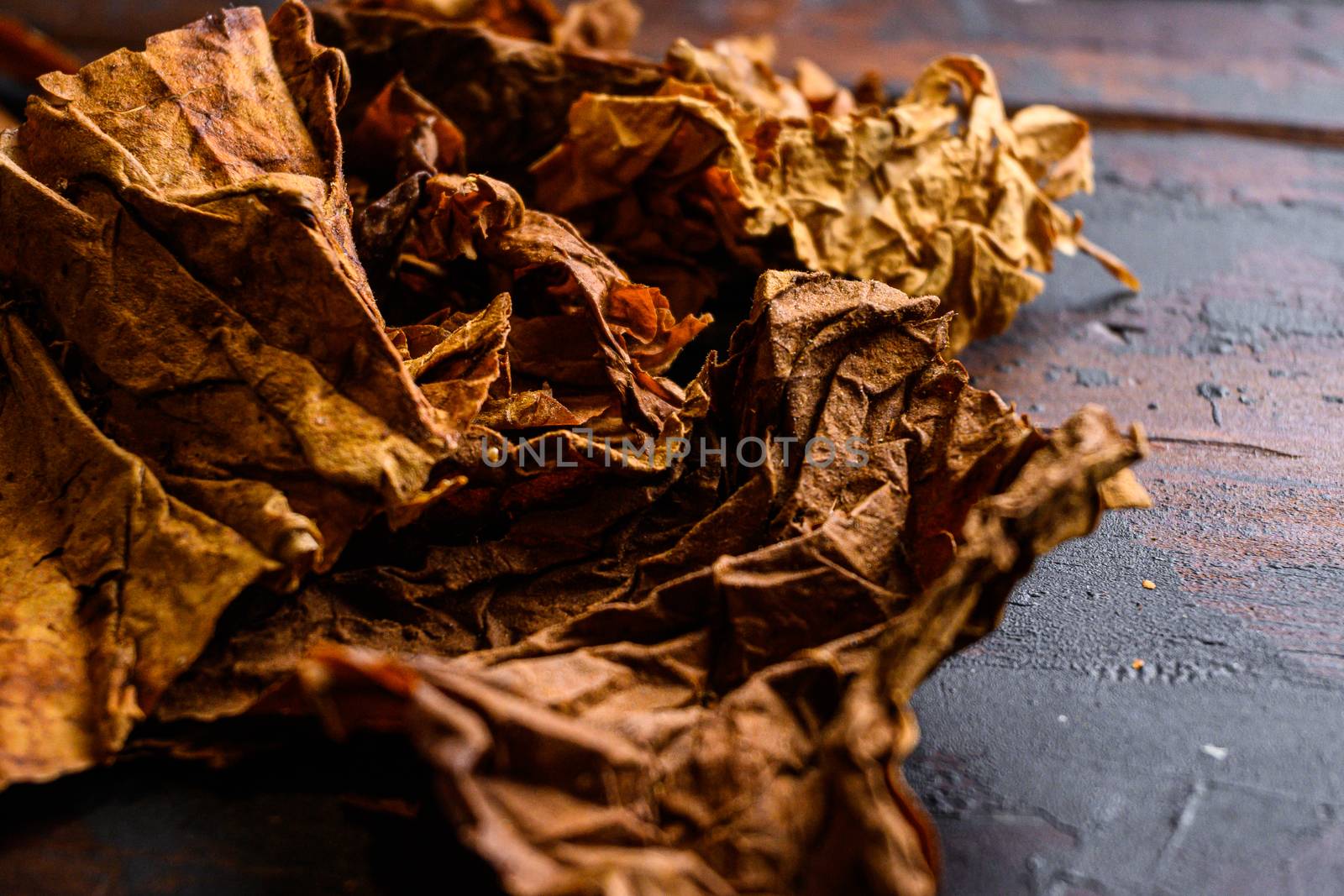 dry leafs tobacco close up Nicotiana tabacum and tobacco leaves on old wood planks table dark side view space for text by Ilianesolenyi