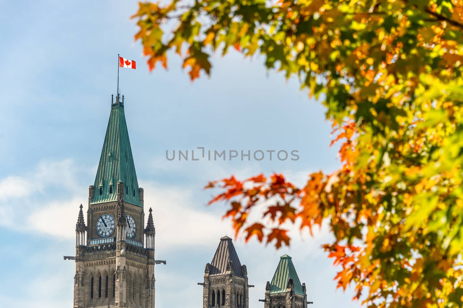 Canadian Parliament with Autumn Foliage by mbruxelle
