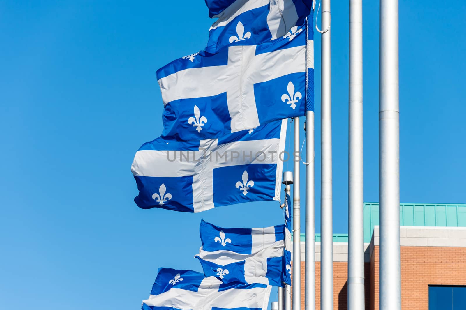 Quebec Flags waving in the wind against blue sky in Quebec City.