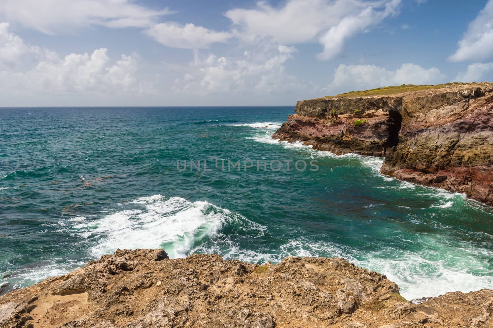Savanna of Petrifications in Martinique by mbruxelle