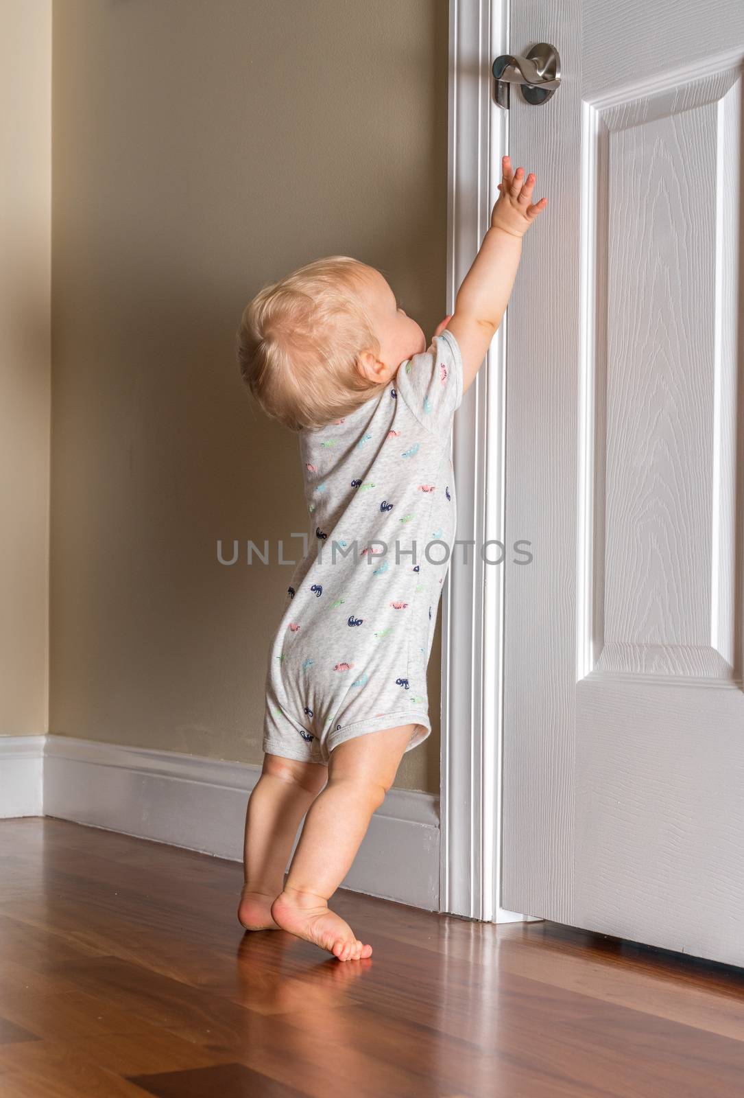 Young baby just able to walk reaching up for the door handle on wooden floor by steheap