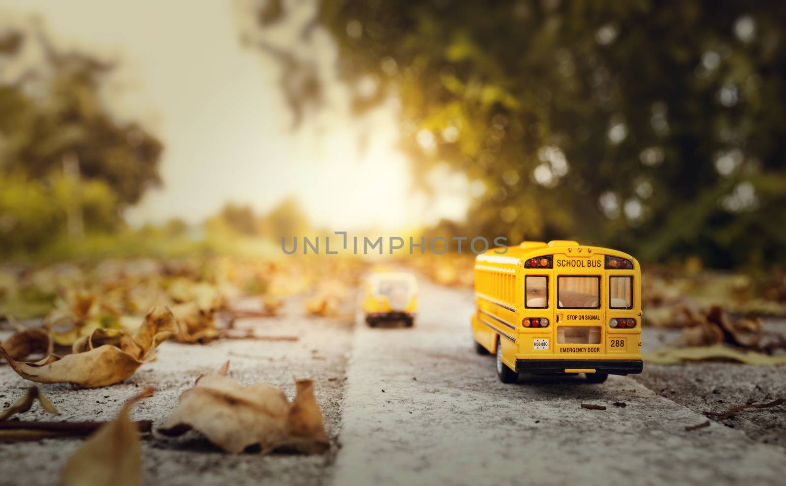 Yellow school bus toy model on country road.