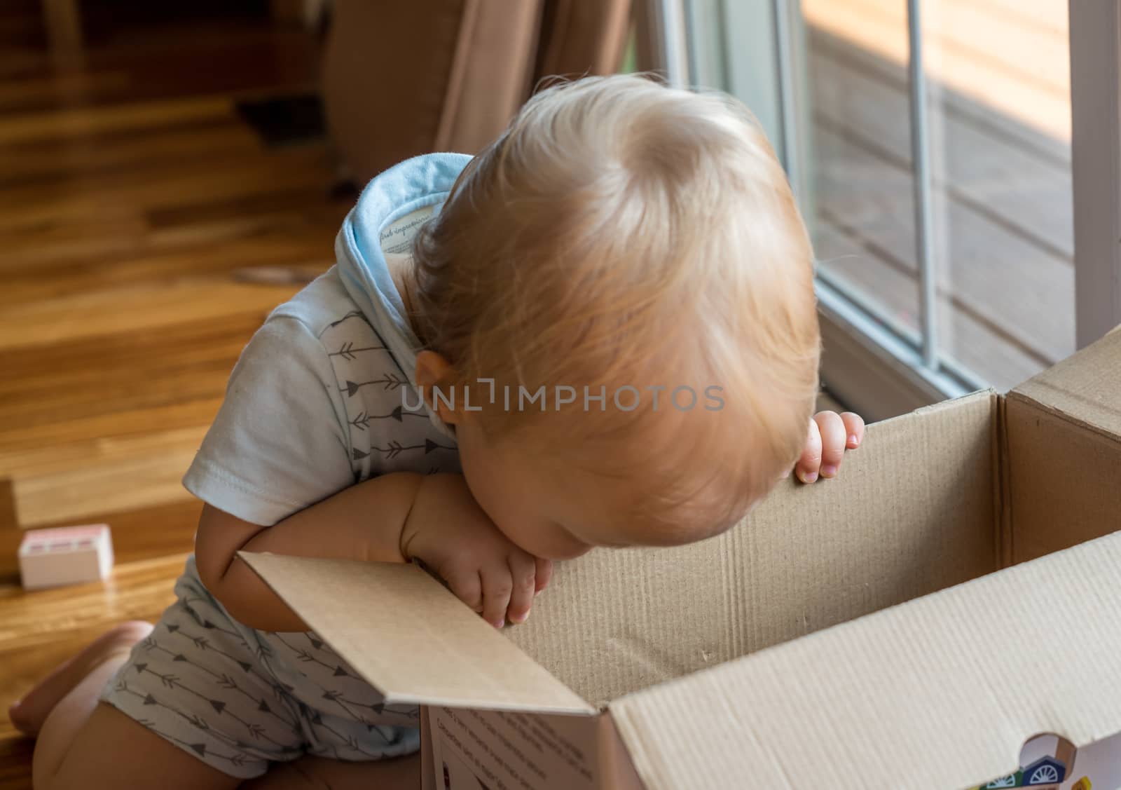 Young caucasian toddler looking and reaching inside a cardboard box with a serious expression