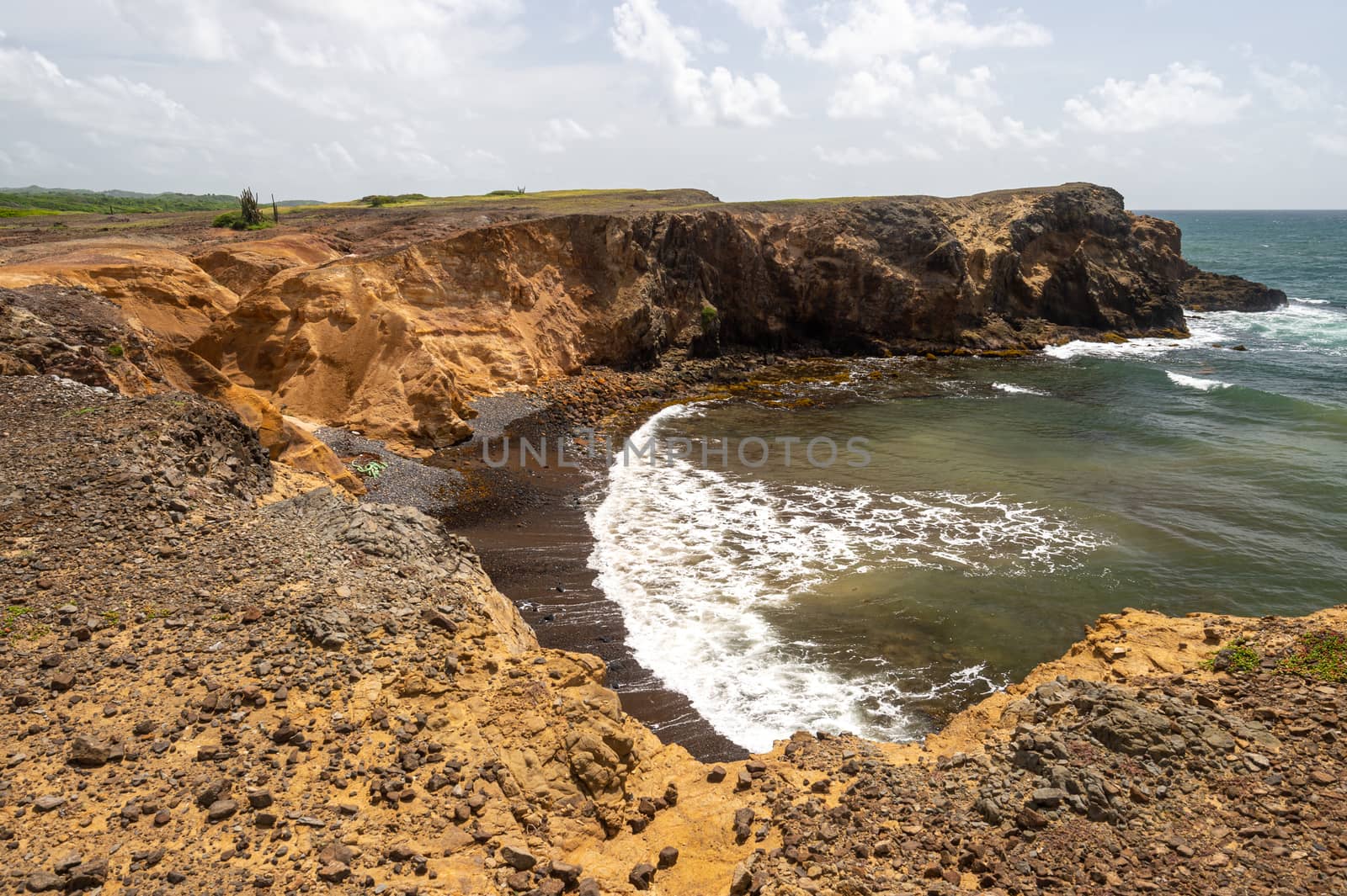 Savanna of Petrifications in Martinique by mbruxelle