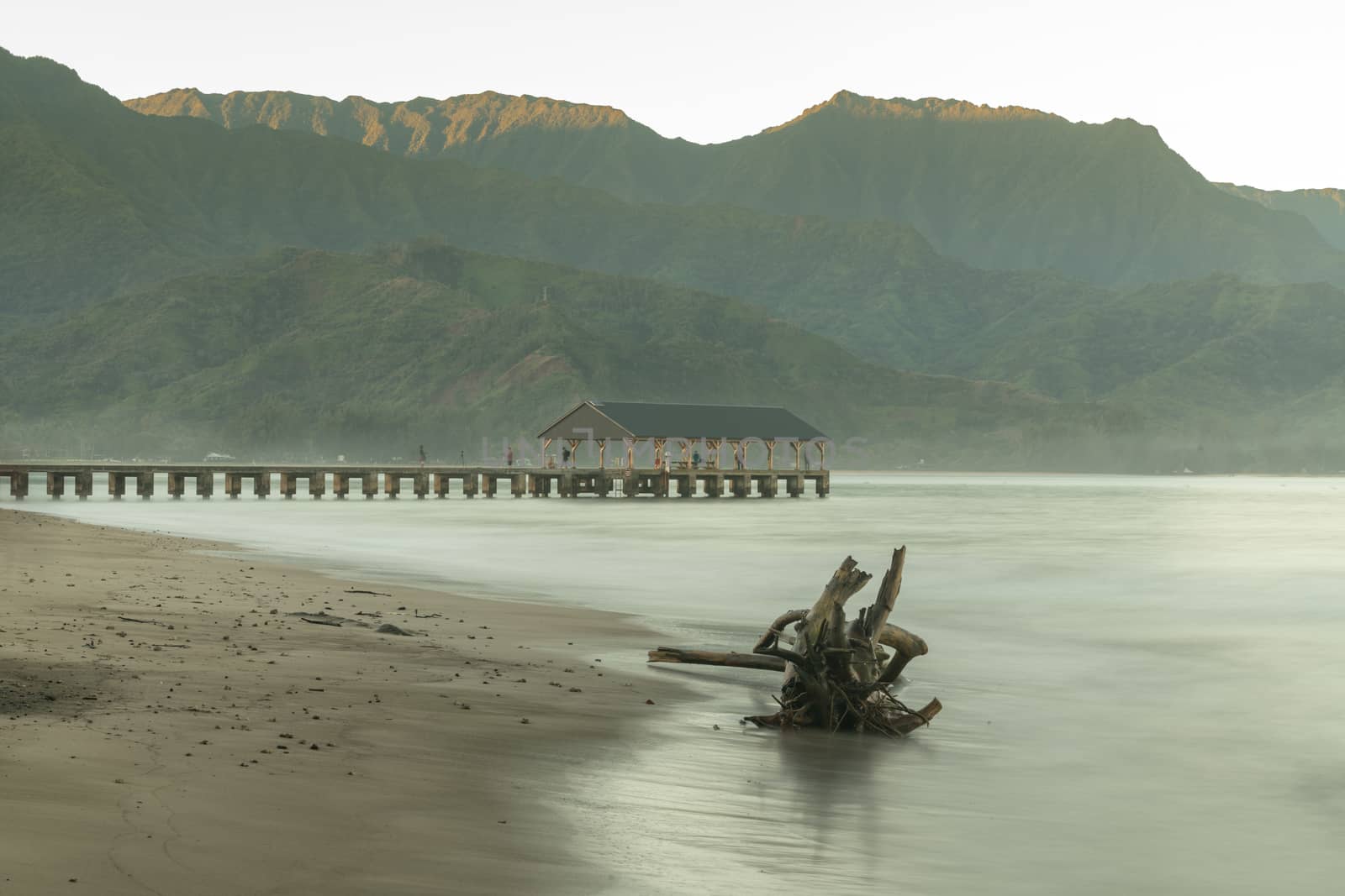 Sunrise lights driftwood on Hanalei Bay with the Na Pali coast in the background near Hanalei, Kauai, Hawaii