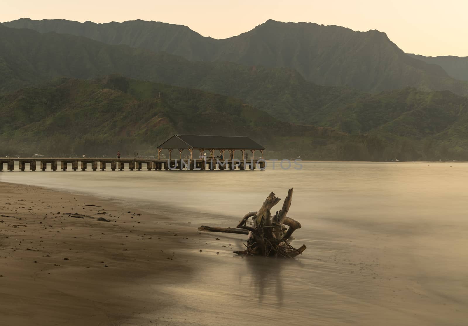 Sunrise lights driftwood on Hanalei Bay with the Na Pali coast in the background near Hanalei, Kauai, Hawaii