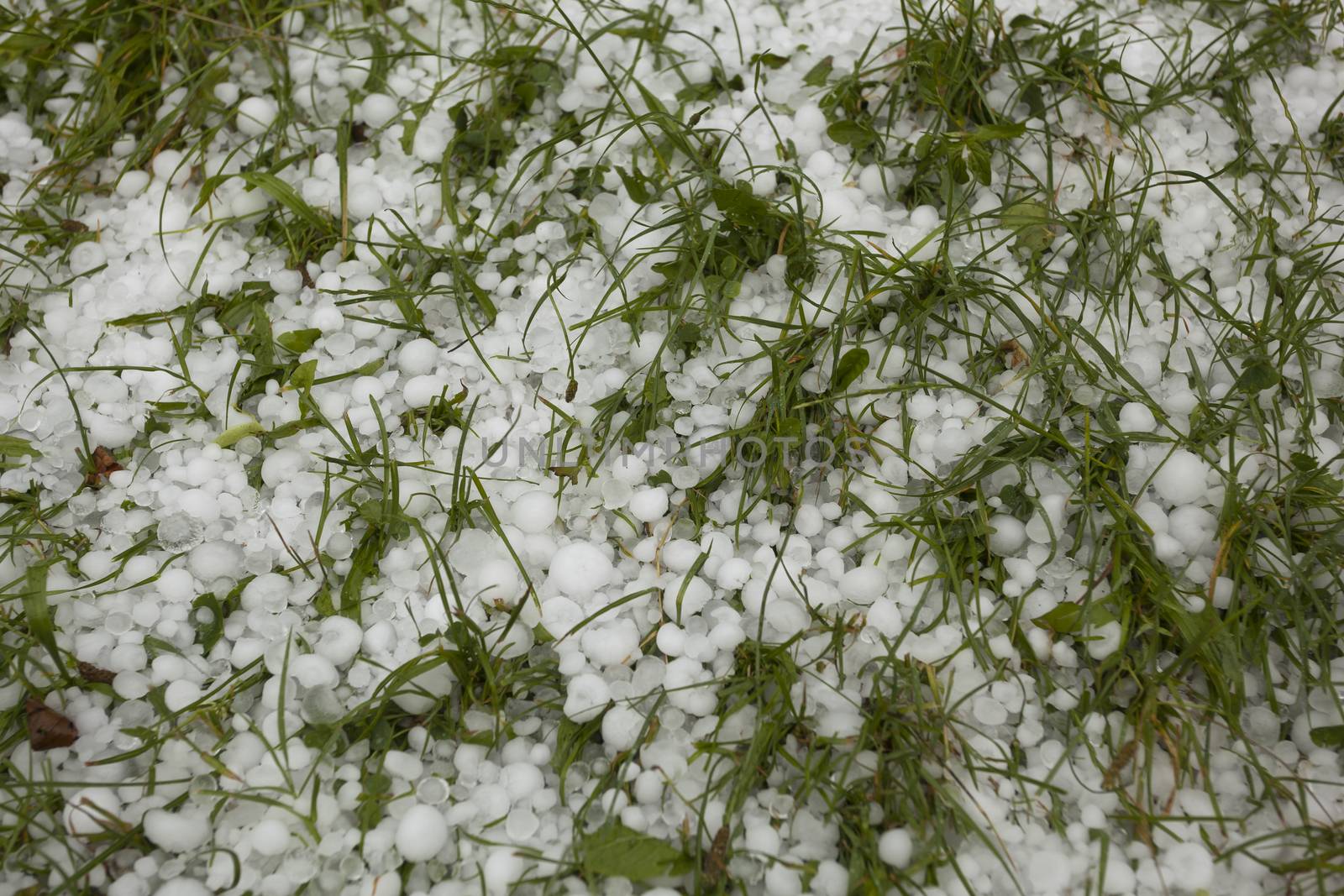 Hail - Weather Storm Disaster